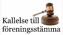 Föreningsstämma