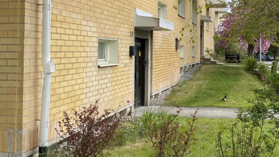 Efter städdagen våren 2025