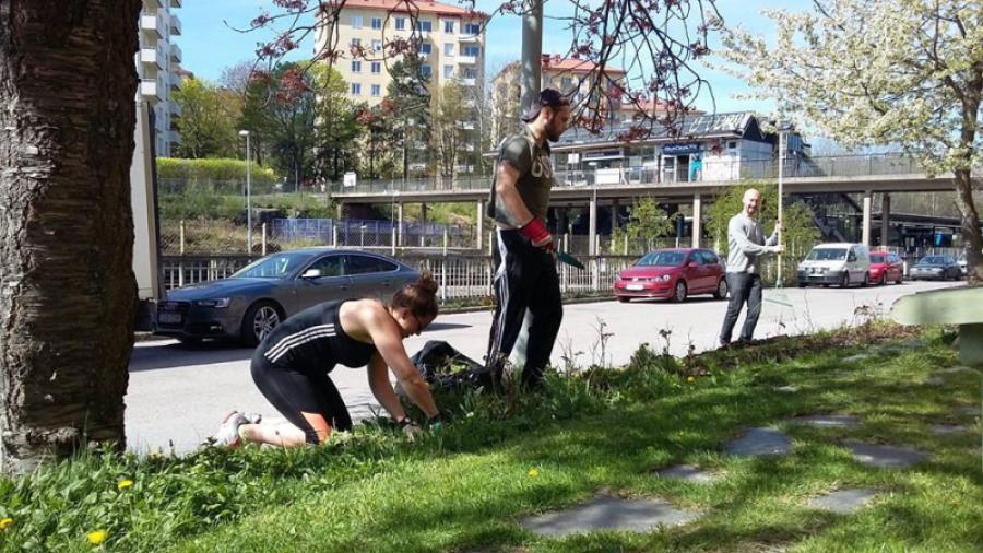 Fixardag_våren_2016